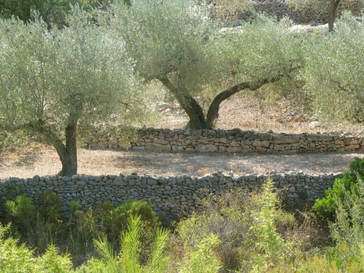 El Perelló Casa Almendra 빌라 외부 사진